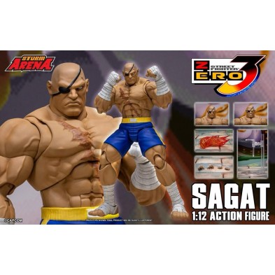 STORM ARENA 1/12 Action Figure SAGAT