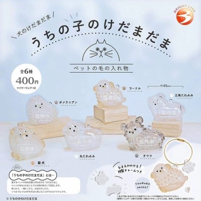 扭蛋- 犬毛收納瓶 (全6種)